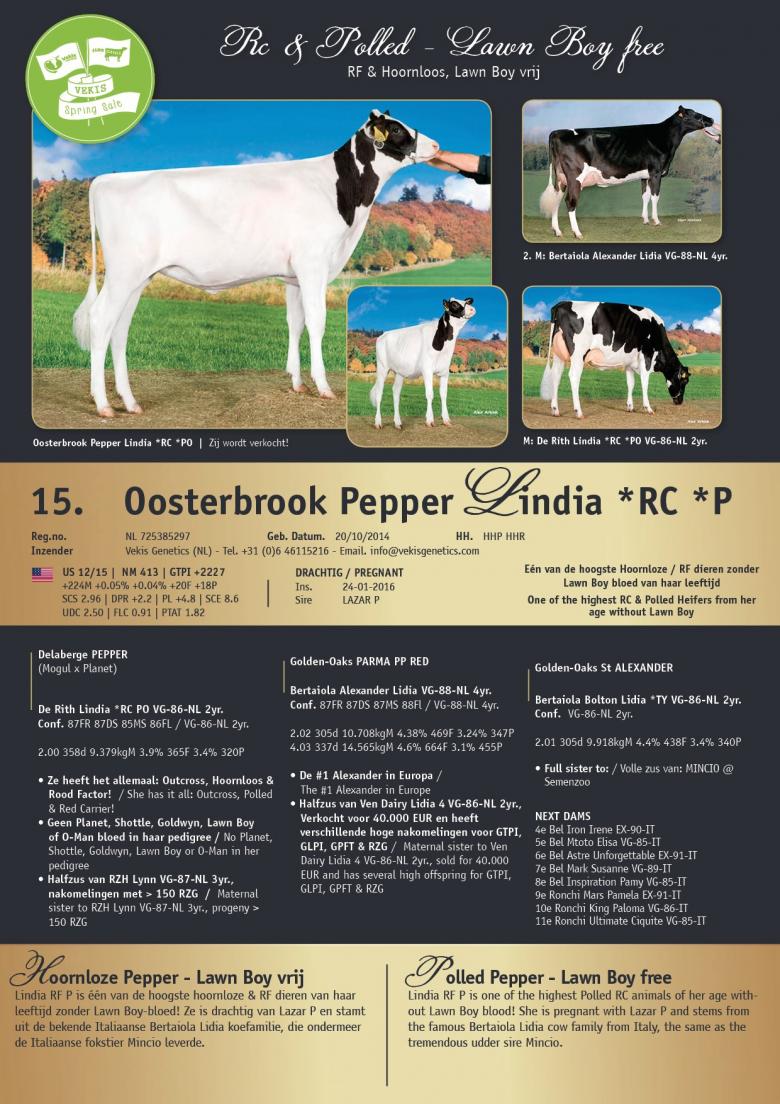 Datasheet for Oosterbrook Pepper Lindia *RC *P
