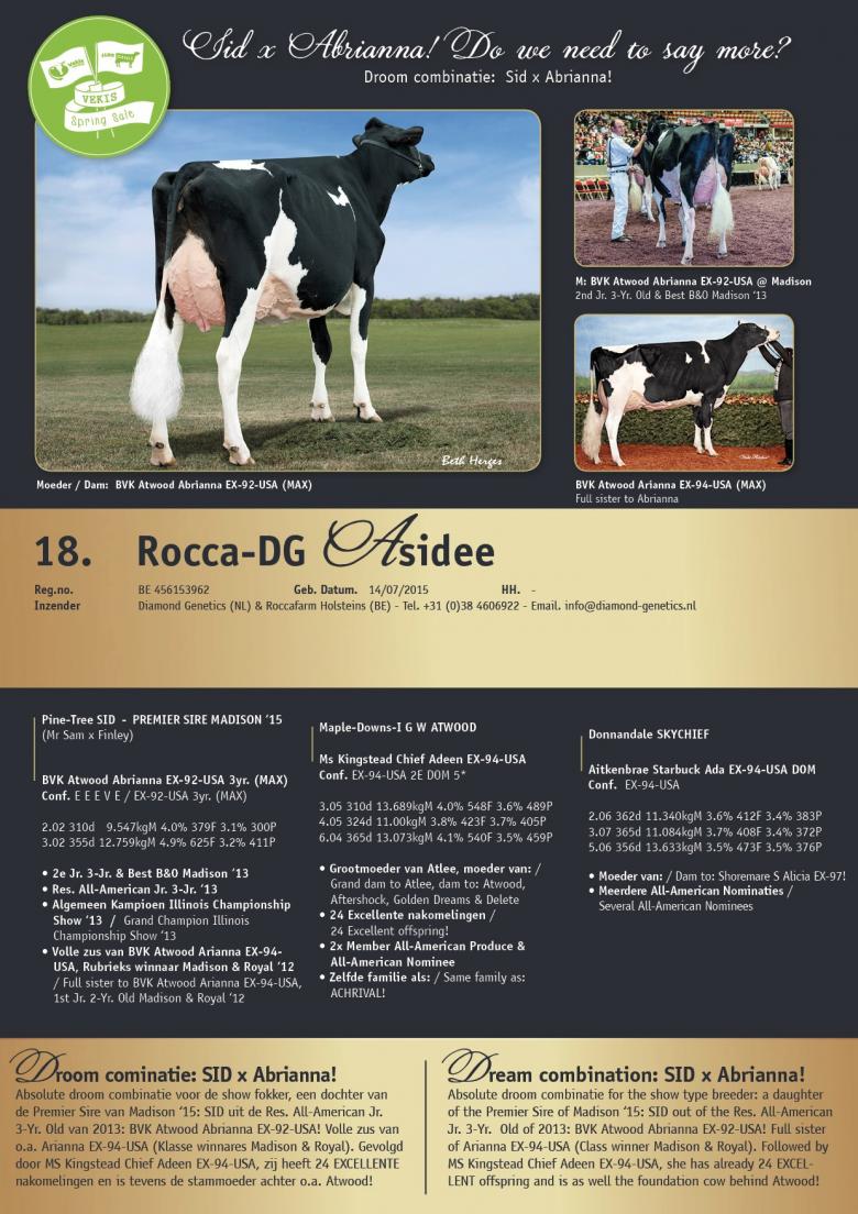 Datasheet for Rocca-DG Asidee