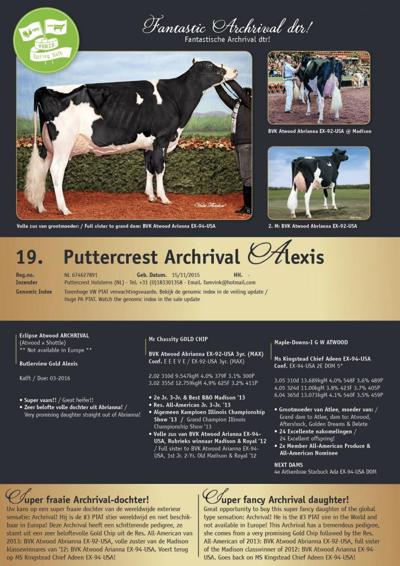 Datasheet for Puttercrest Archrival Alexis