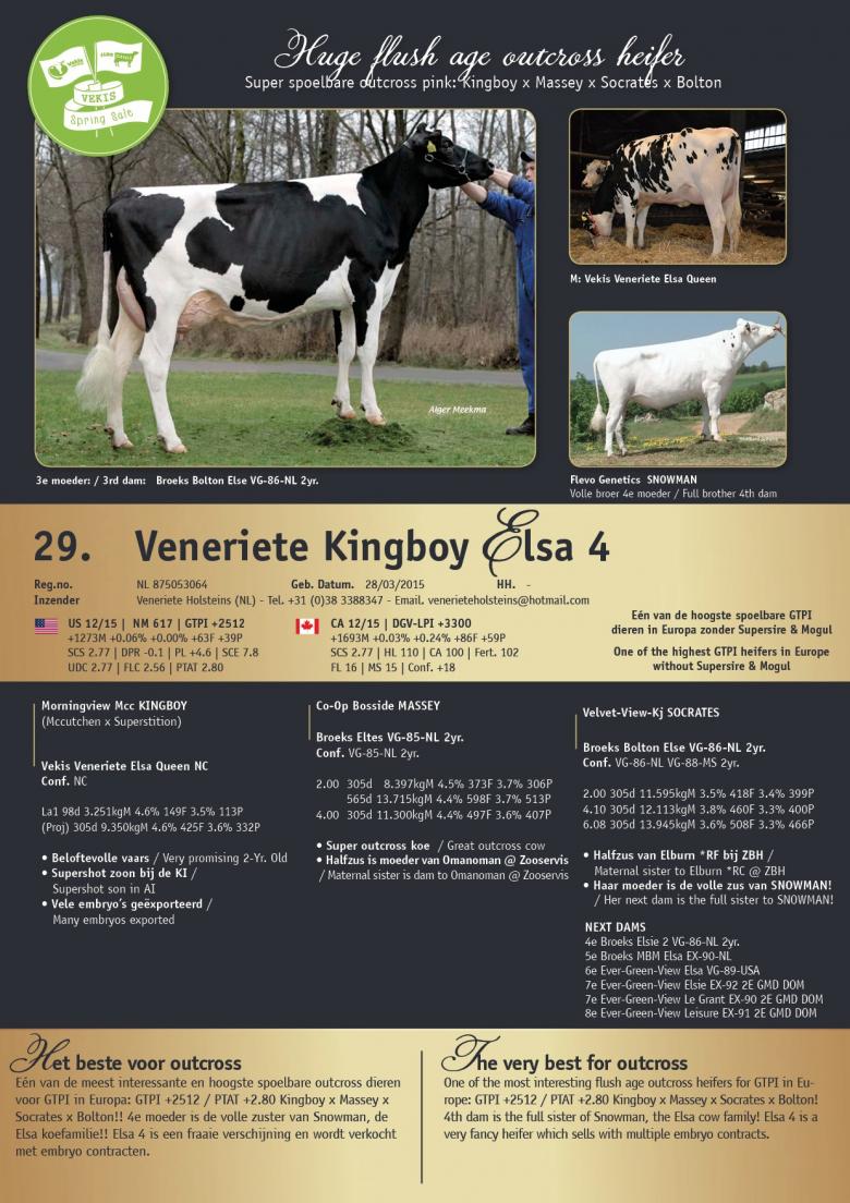 Datasheet for Veneriete Kingboy Elsa 4