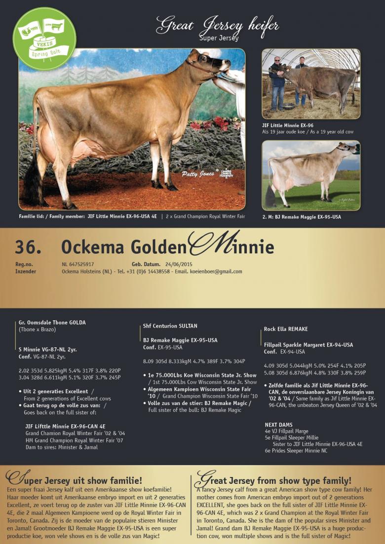 Datasheet for Ockema Golden Minnie