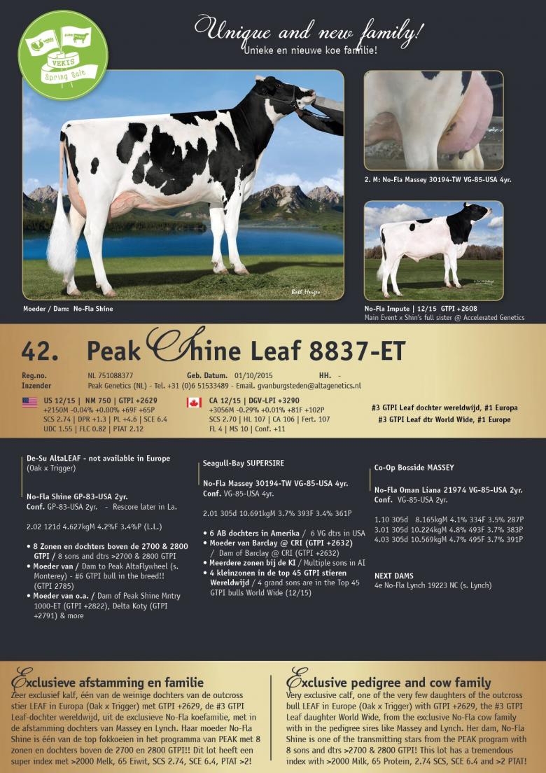 Datasheet for Peak Shine Leaf 8837-ET