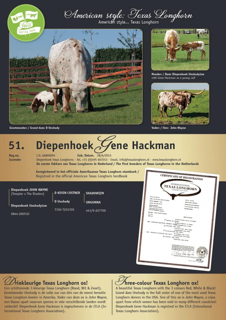 Datasheet for Diepenhoek Gene Hackman