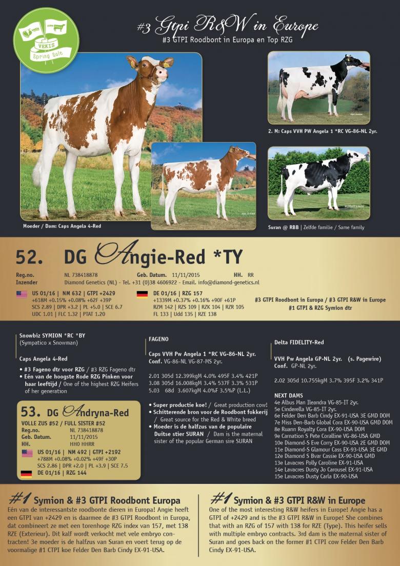Datasheet for DG Angie-Red *TY