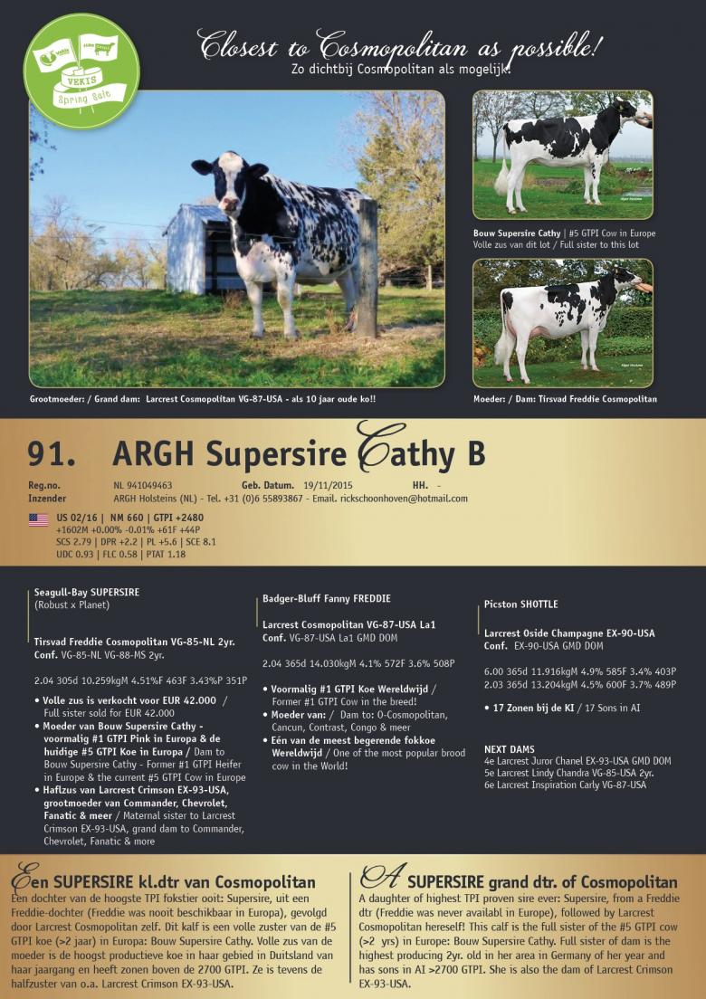 Datasheet for ARGH Supersire Chathy B