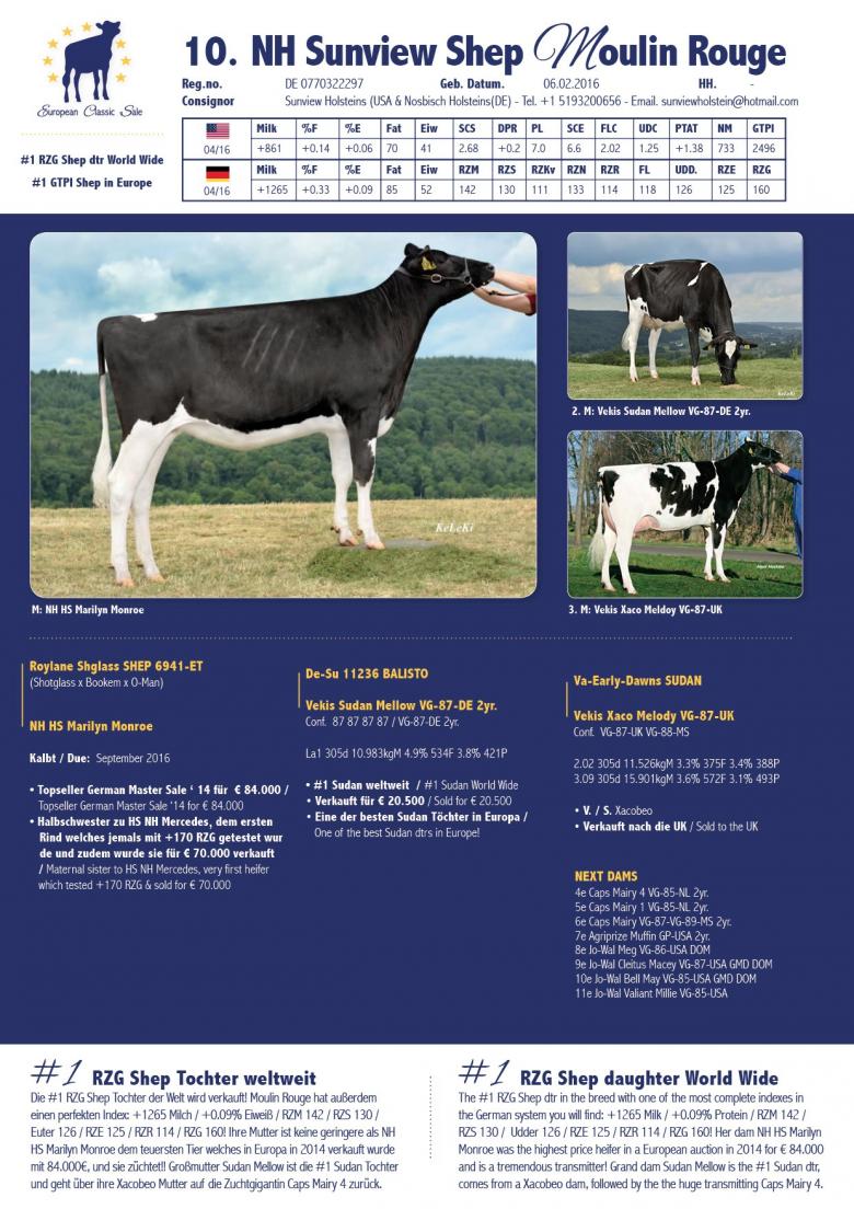 Datasheet for NH Sunview Shep Moulin Rouge