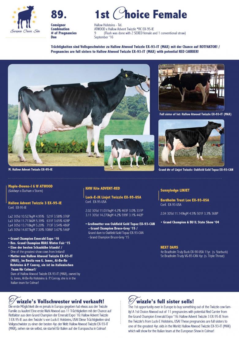 Datasheet for 1st Choice FEMALE: ATWOOD x Hallow Advent Twizzle 3 EX-95-IE