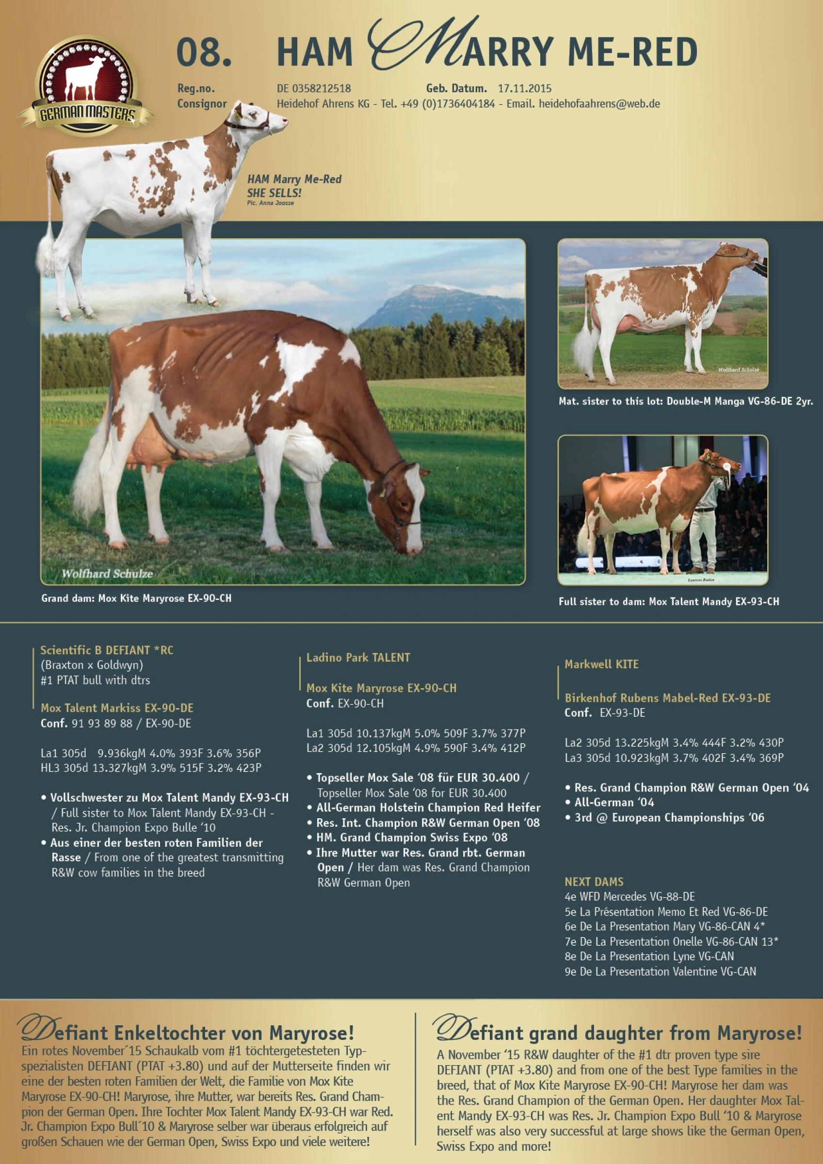 Datasheet for Lot 8. HAM Marry Me-Red