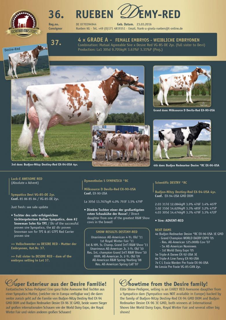 Datasheet for Lot 37. EMBRYOS: #4 SEXED MAS (Mutual Agreeable Sire) x Desire Red VG-85-DE 2yr.