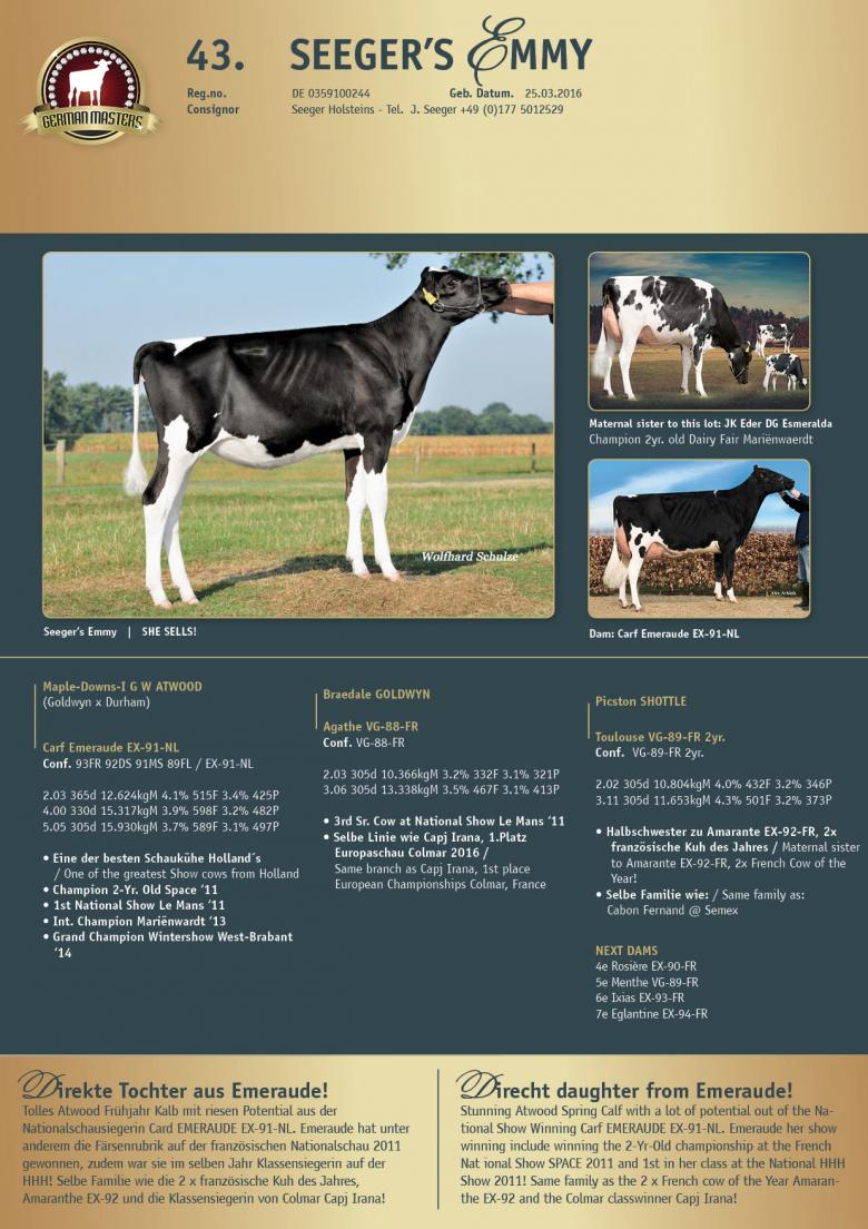 Datasheet for Lot 43. Seegers Emmy