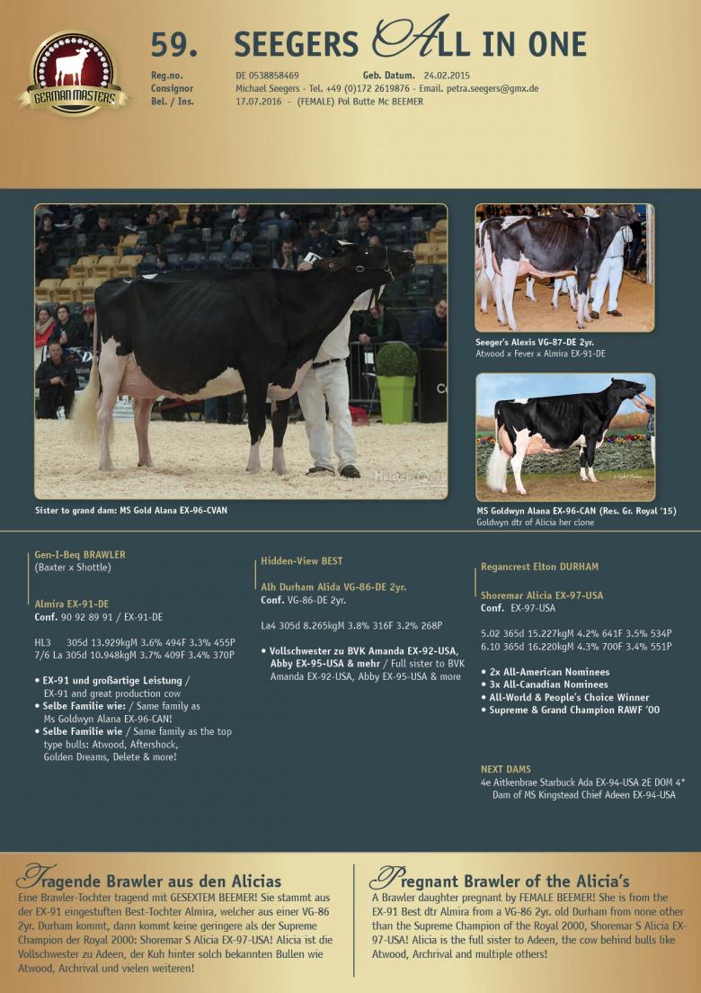 Datasheet for Lot 59. Seegers All In Love