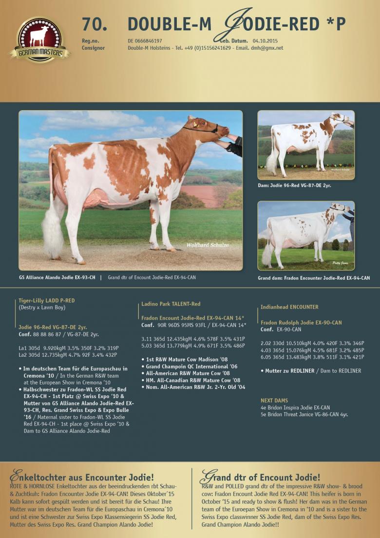 Datasheet for Lot 70. Double-M Jodie-Red *P