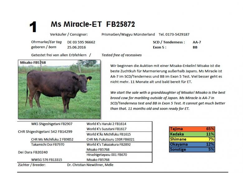 Datasheet for Lot 1. Ms Miracle-ET FB25872