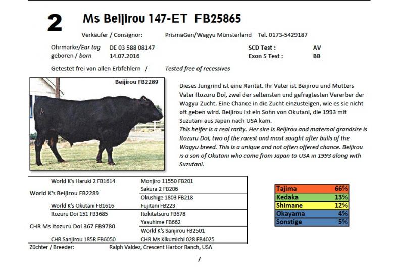 Datasheet for Lot 2. Ms Beijirou 147-ET FB25865