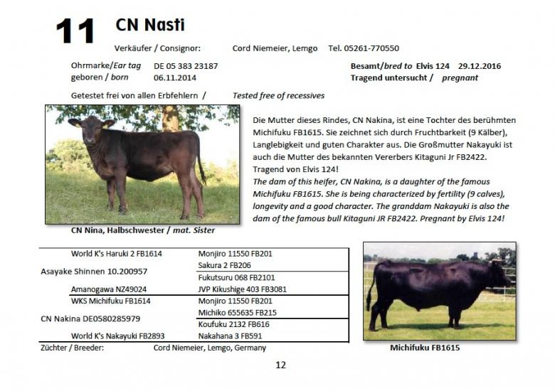 Datasheet for Lot 11. CN Nasti