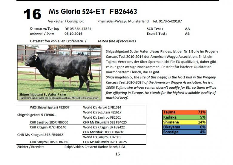 Datasheet for Lot 16. OUT OF SALE