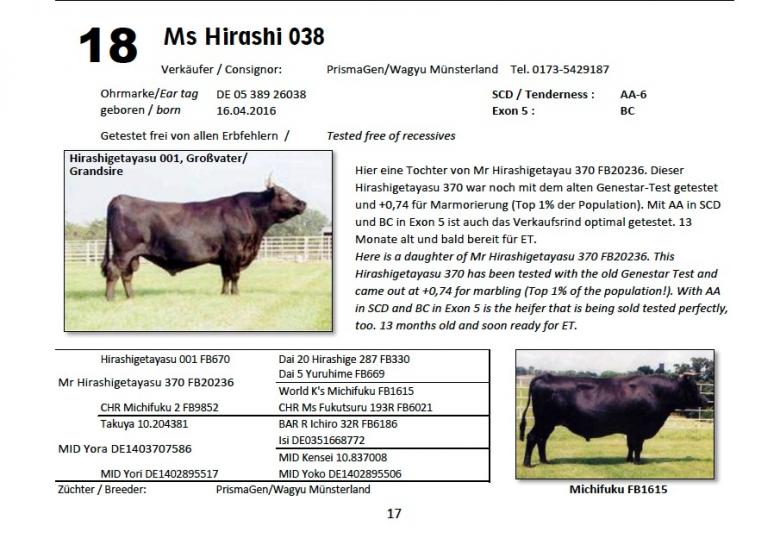 Datasheet for Lot 18. Ms Hirashi 038