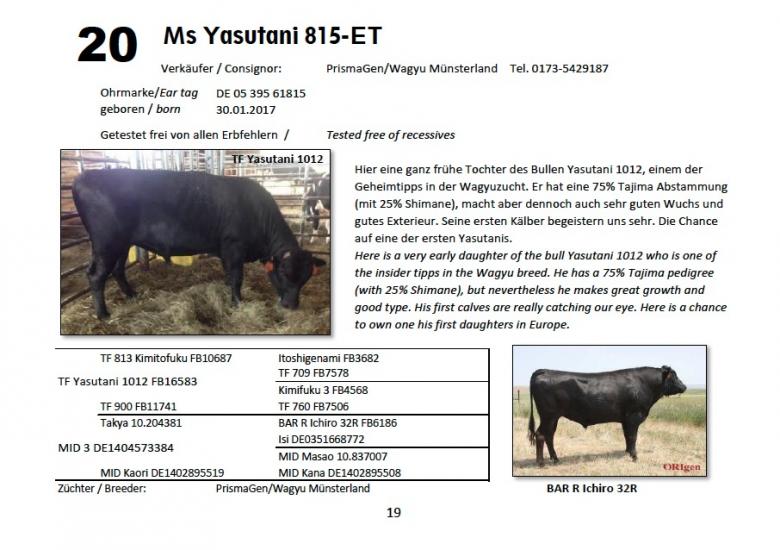 Datasheet for Lot 20. Ms Yasutani 815-ET