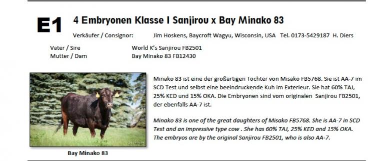 Datasheet for Lot E1: Embryos: #4 SANJIROU x Bay Minako 83
