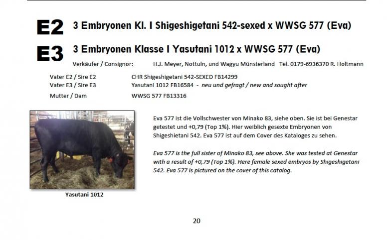 Datasheet for Lot E2: FEMALE embryos: #3 SHIGESHIGETANI 542 x WWSG 577 (Eva)