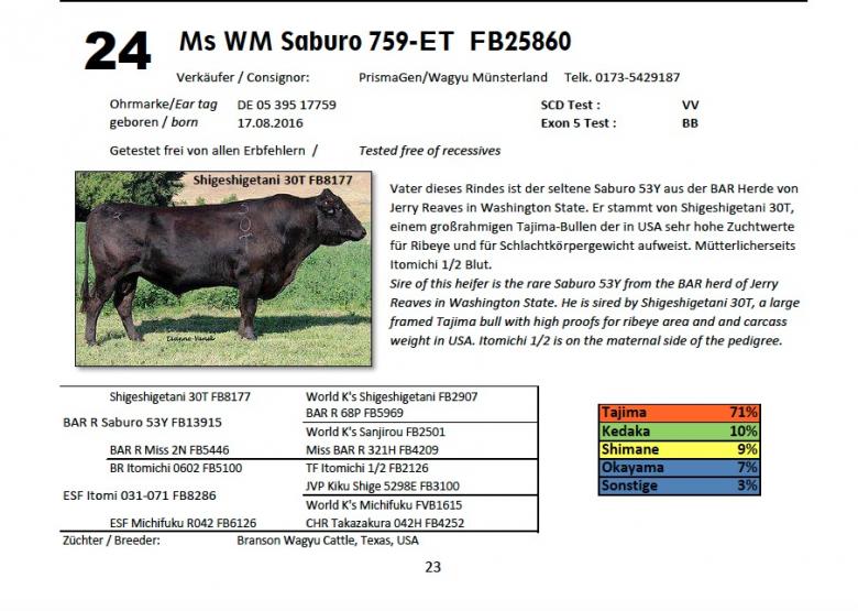 Datasheet for Lot 24. Ms WM Saburo 759-ET FB25860