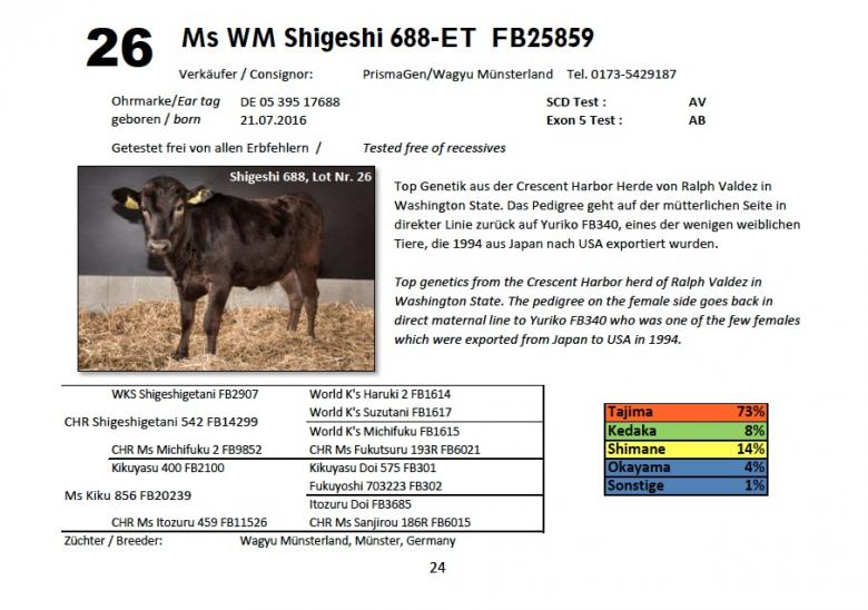 Datasheet for Lot 26. Ms WM Shigshi 688-ET FB25859