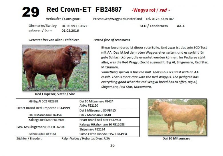 Datasheet for Lot 29. Red Crown-ET FB24887 RED