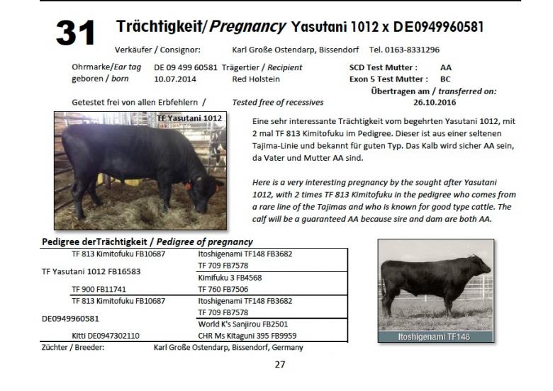 Datasheet for Lot 31. Pregnancy YASUTANI 1012  x DE0949960581