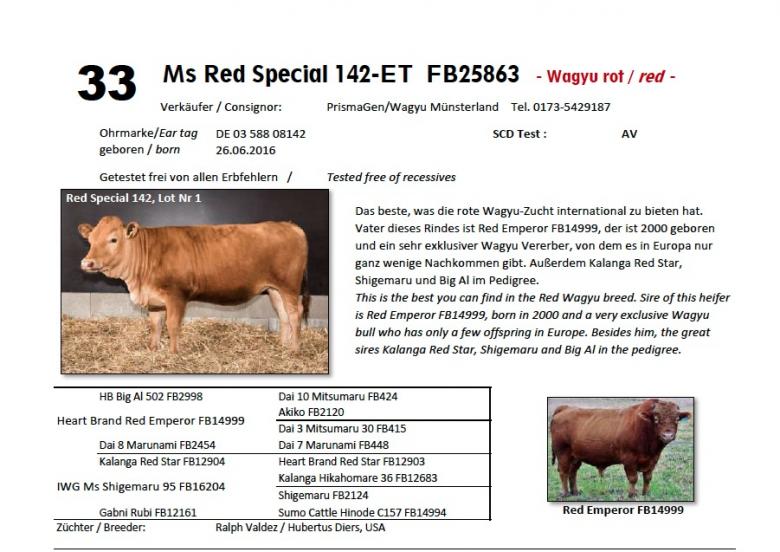 Datasheet for Lot 33. Ms Red Special 142-ET FB25863 RED