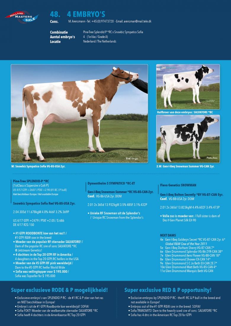 Datasheet for #4 Embryos: Pine-Tree SPLENDID-P *RC x Snowbiz Sympatico Sofia Red VG-85-USA 2yr.