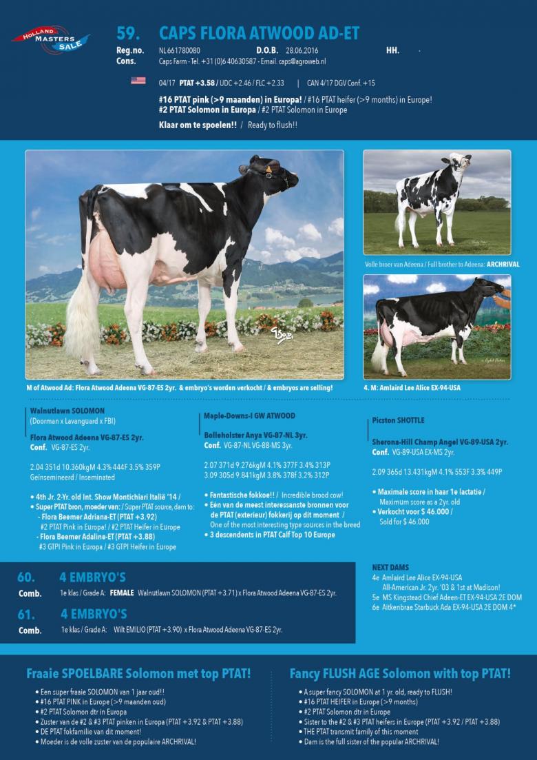 Datasheet for #4 Embryos: FEMALE Walnutlawn SOLOMON x Flora Atwood Adeena VG-87-ES 2yr.