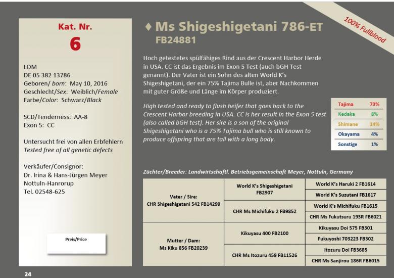 Datasheet for Lot 6. Ms Shigeshigetani 786-ET FB24881