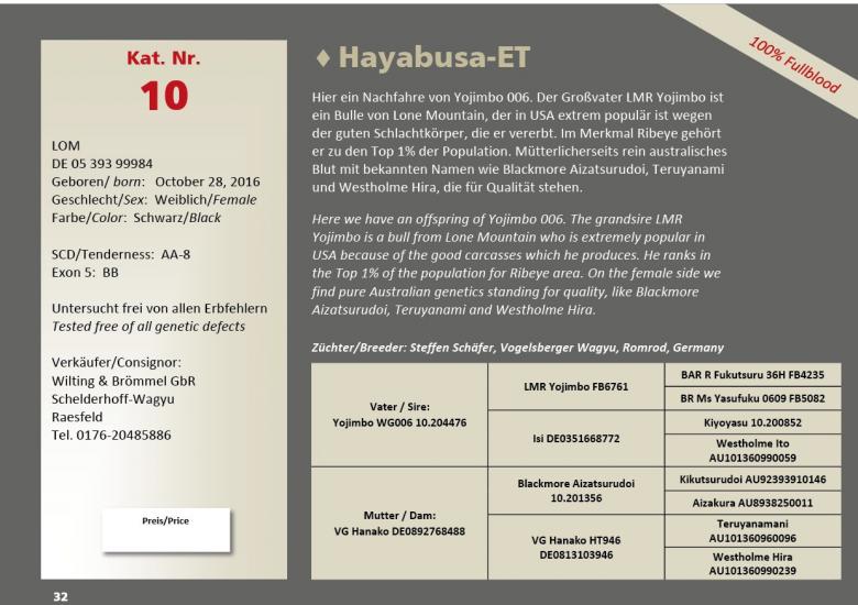 Datasheet for Lot 10. Hayabusa-ET