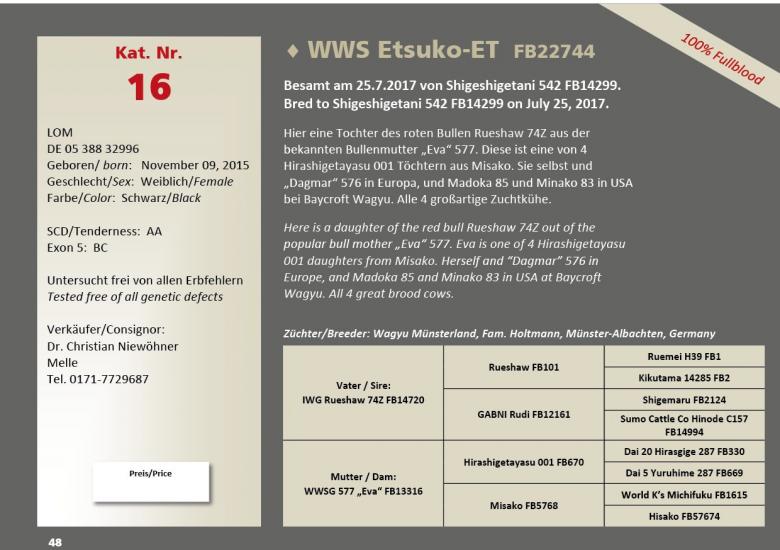 Datasheet for Lot 16. WWS Etsuko-ET FB22744