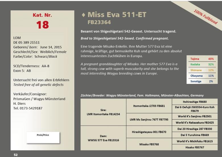 Datasheet for Lot 18. Miss Eva 511-ET FB23364