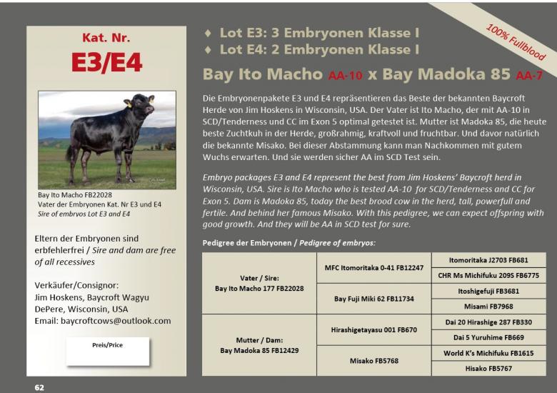 Datasheet for Lot E4. Embryos: #2 Bay Iot MACHO x Bay Madoka 85
