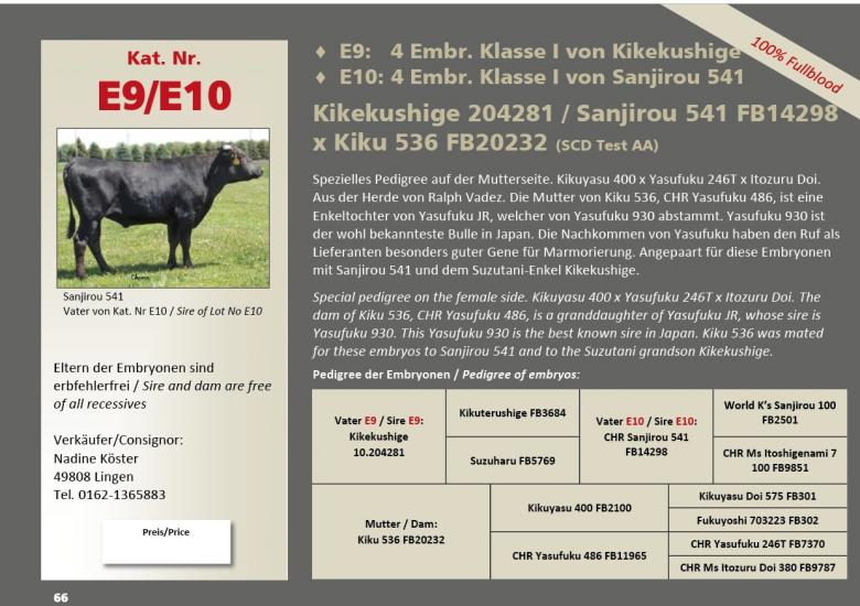 Datasheet for Lot E10. Embryos: #4 SANJIROU 541 FB14298 x Kiku 536 FB20232