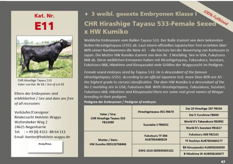 Datasheet for Lot E11. FEMALE Embryos: CHR Hirashige TAYASU 533 x HW Kumiko