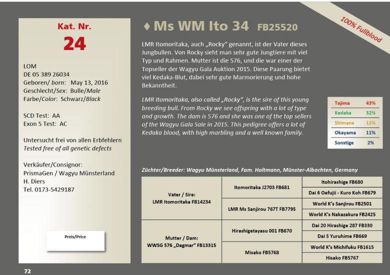 Datasheet for Lot 24. Ms WM Ito 34 FB25520 - REPLACEMENT