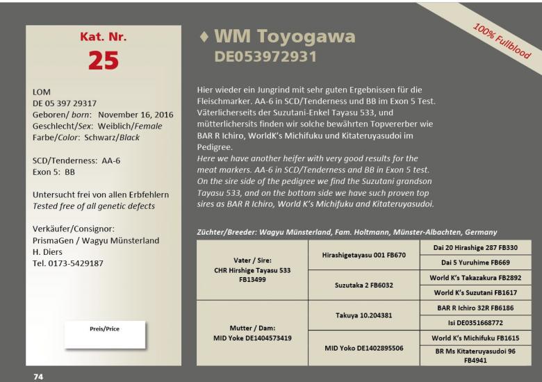 Datasheet for Lot 25. WM Toyogawa