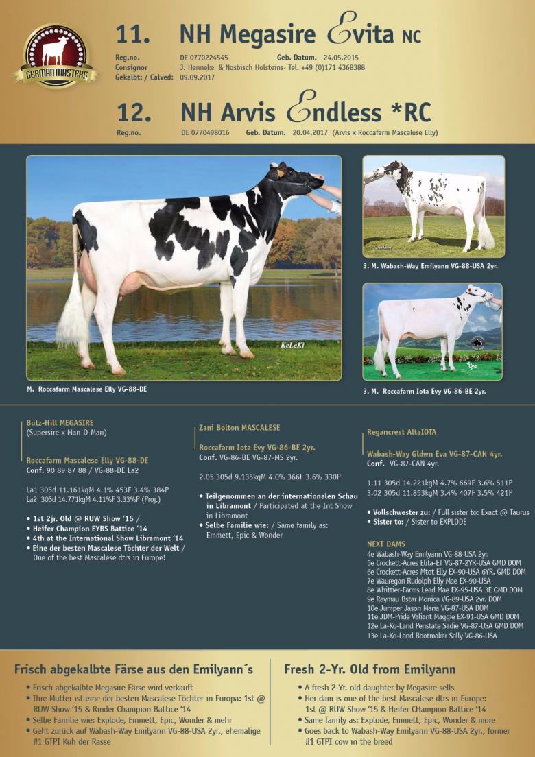 Datasheet for Lot 12. NH Arvis Endless *RC