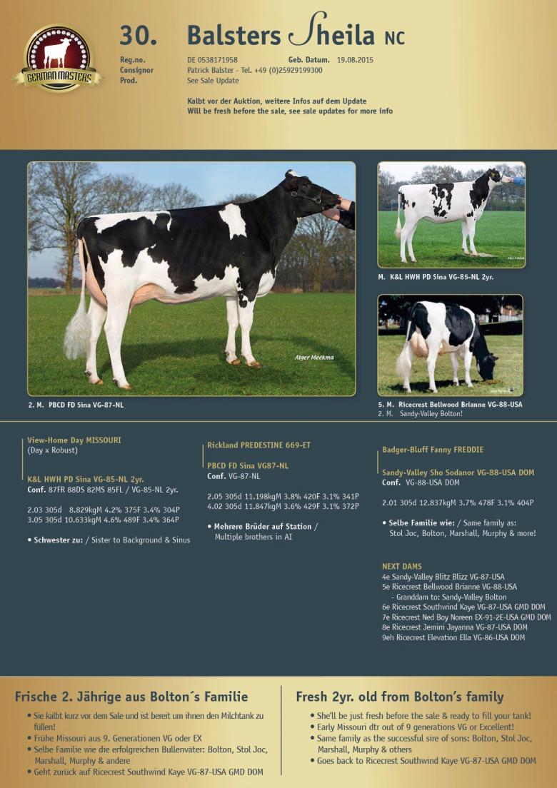 Datasheet for Lot 30. Balsters Sheila NC