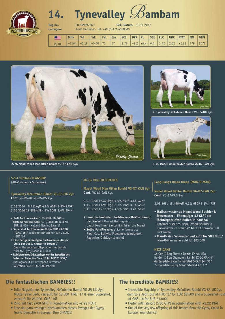 Datasheet for Lot 14. Tynevalley Bambam