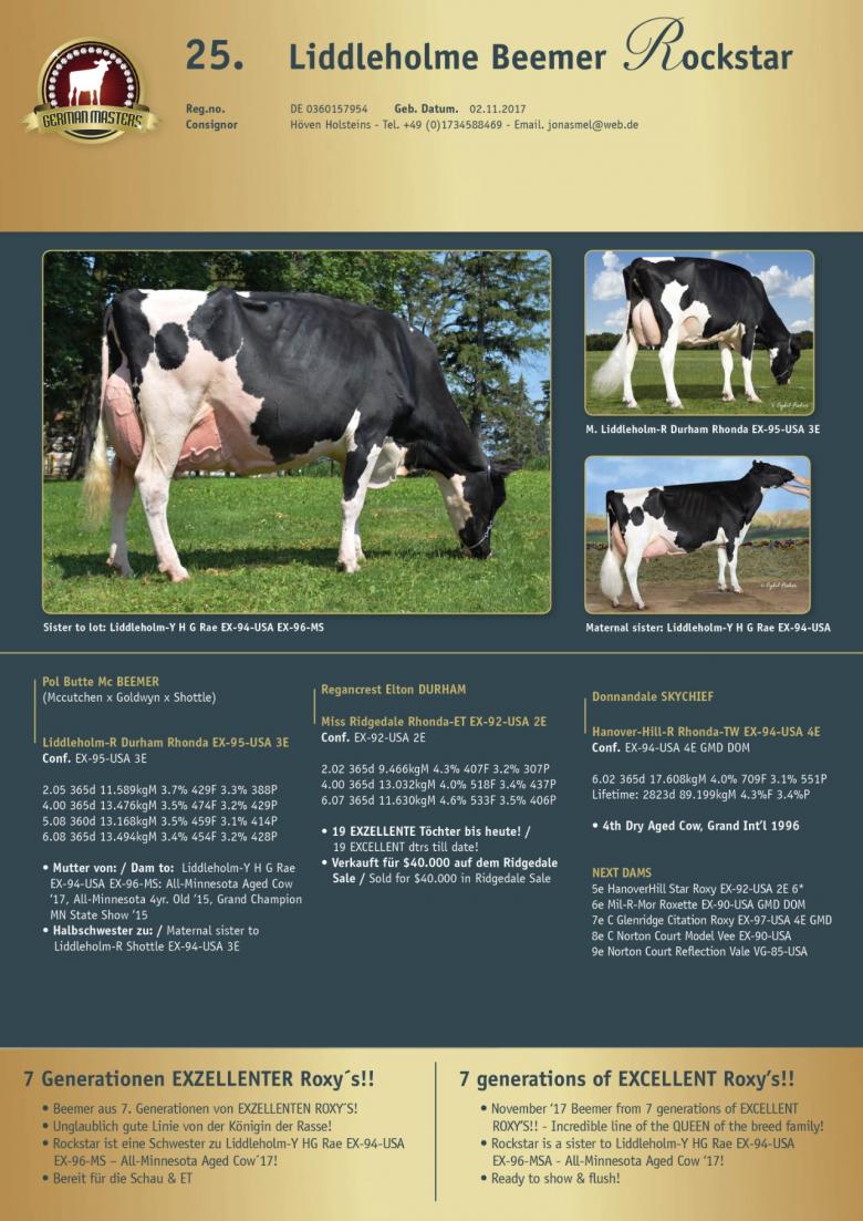 Datasheet for Lot 25. Liddlehome Beemer Rockstar