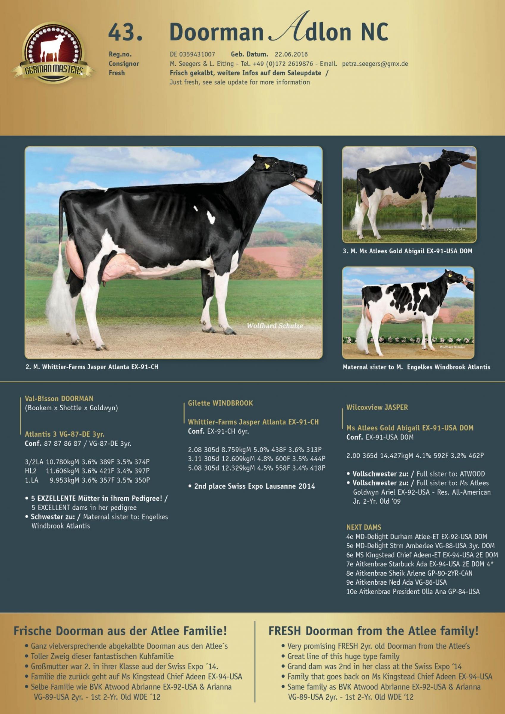 Datasheet for Lot 43. Doorman Adlon VG-86-DE VG-86-MS 2yr.