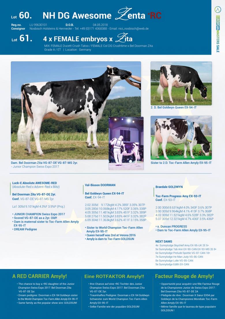 Datasheet for Lot 60. NH DG Awesome Zenta *RC