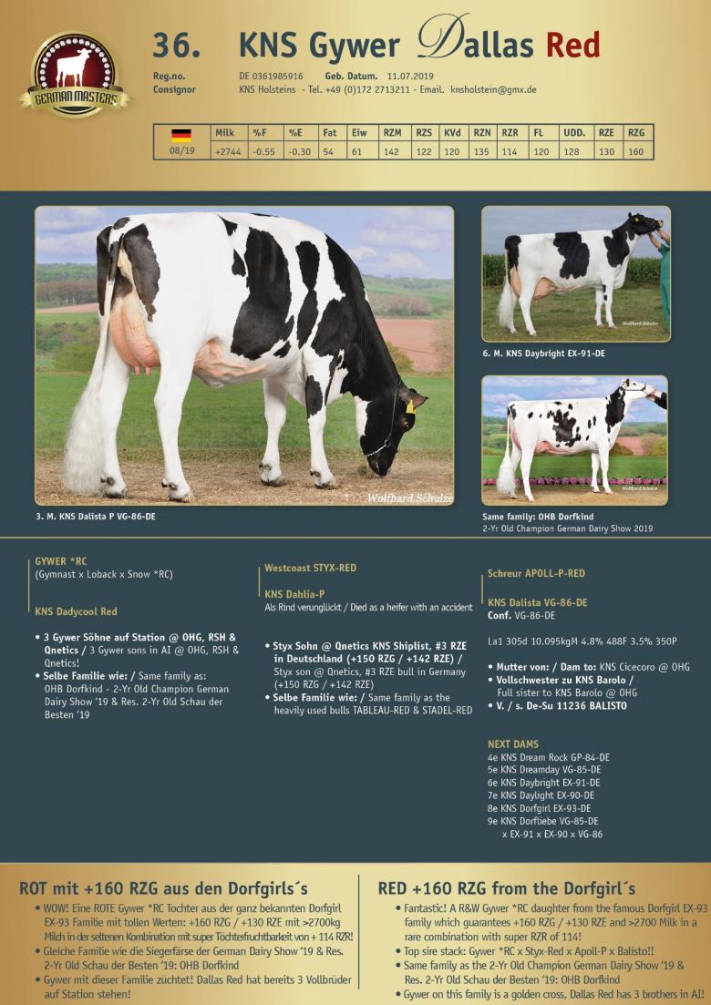 Datasheet for Lot 36. KNS Gywer Dallas Red