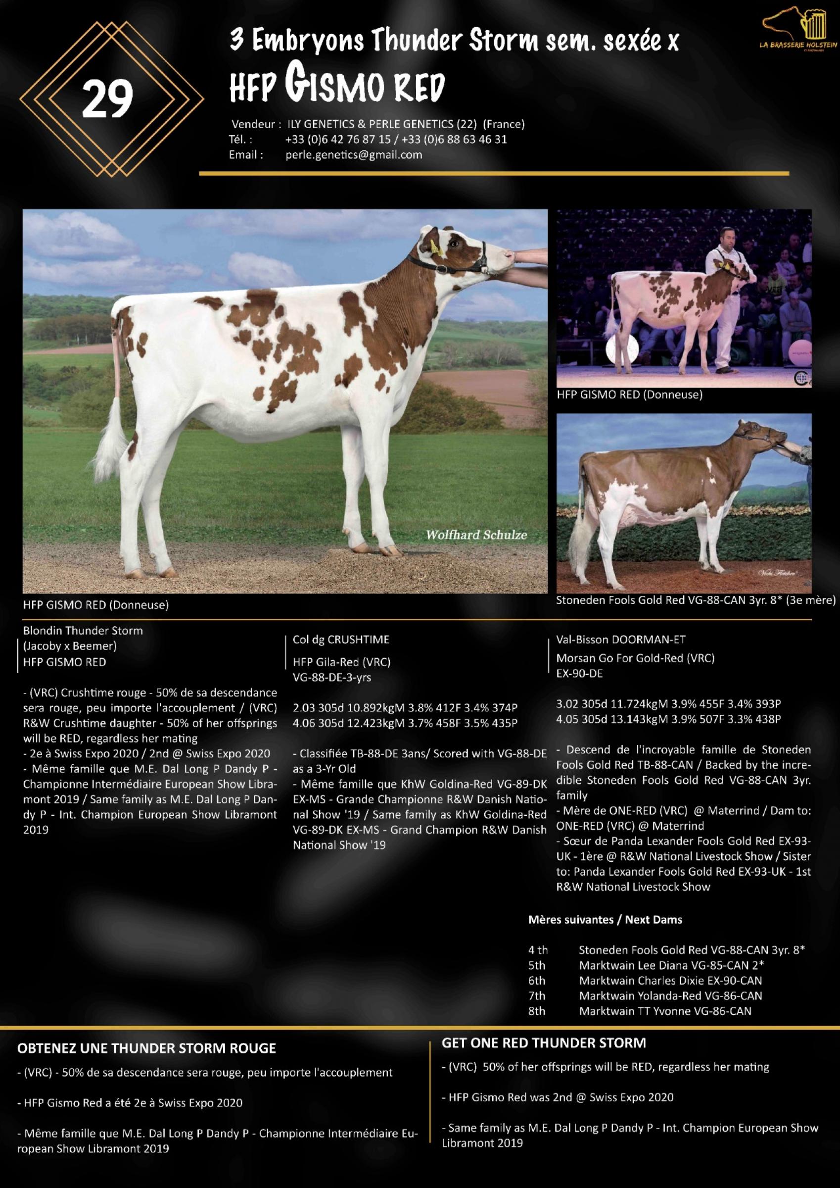 Datasheet for Lot 29. 3 FEMALE embryos | OUT OF SALE