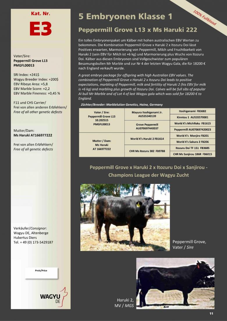 Datasheet for Lot E3. 5 embryos (Grade A) Peppermill Grove L13 x Ms Haruki 222