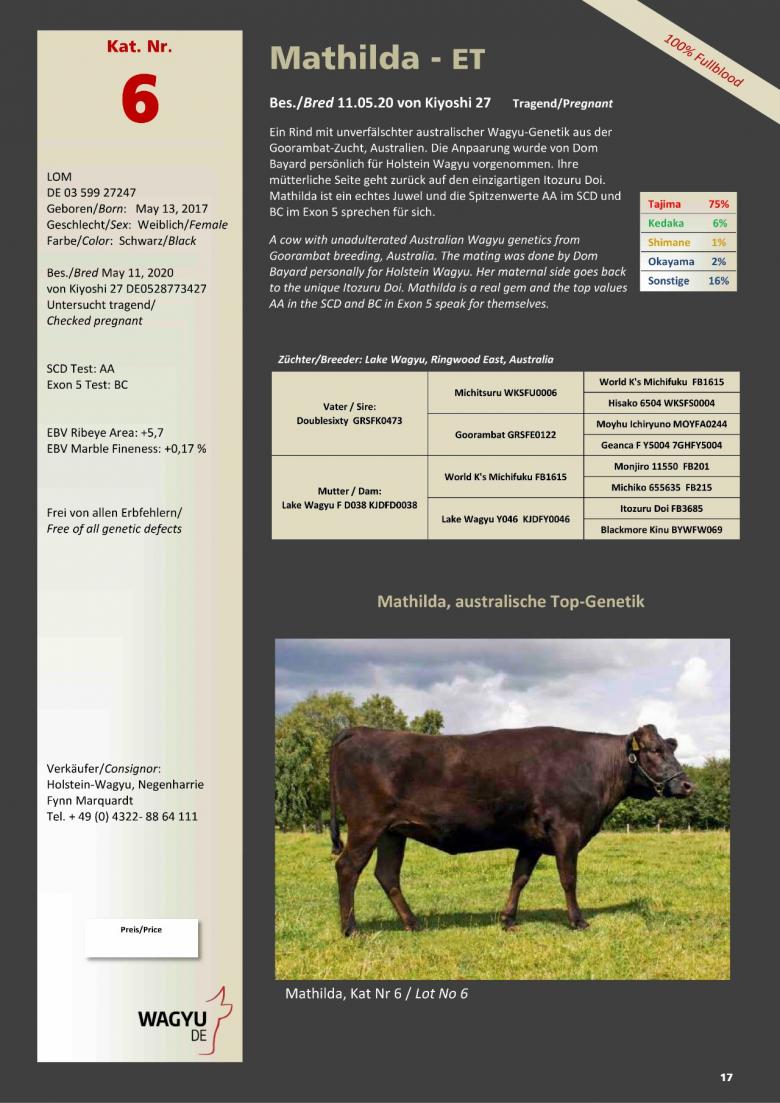 Datasheet for Lot 6. Mathilda-ET